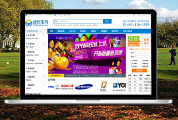 �ױ������