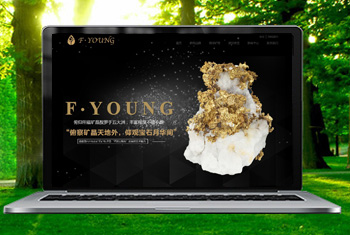 �ױڸ������ﱦʯ